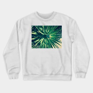 Phoenix AZ Country Club Park  1b Crewneck Sweatshirt